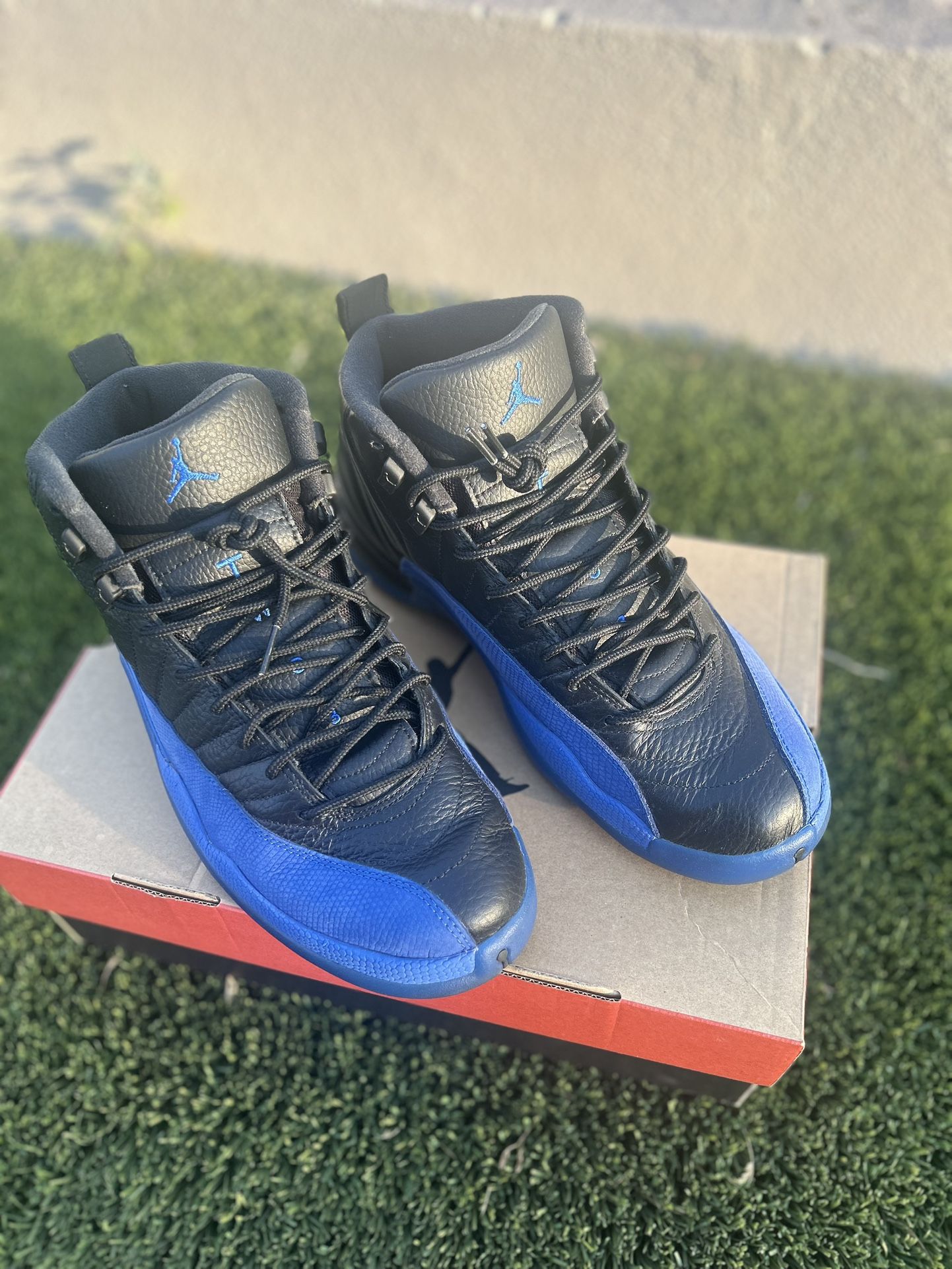 Jordan 12