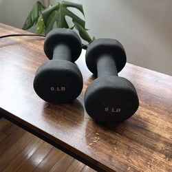 9Lbs dumbbells $15