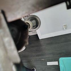 Free Full Size Box Spring And Rails 