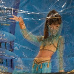 Genie Costume $8