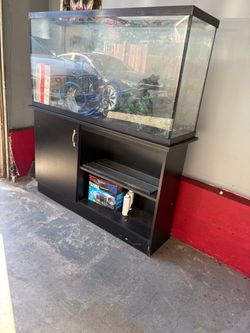 Fish tank