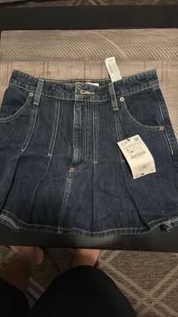 Zara Mini Skirt New