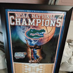 Florida Gator Framed Posters And Pictures