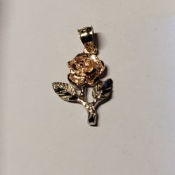 14 K Gold Pendant 