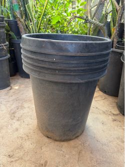 Pots 15g