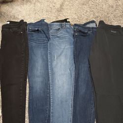 Women's Size 14 Jean Lot