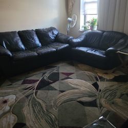Carpet And Sofa