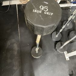 95 lb Iron Grip EZ Curl Barbell
