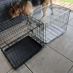 Dog/Cat  Crates/Cage $20 ea