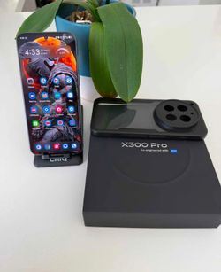 Vivo x300 Pro Global