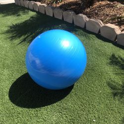Large Exercise Ball
