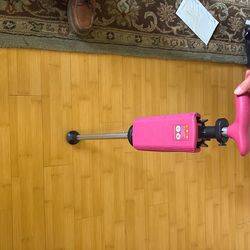 Walking Cane Foldout Chair