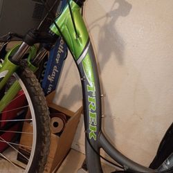 Trek Bike