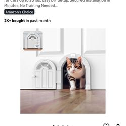 Cat Door 