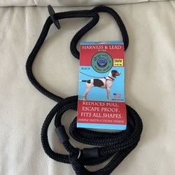 Nylon Rope Slip Dog Lead Adjustable Collar 