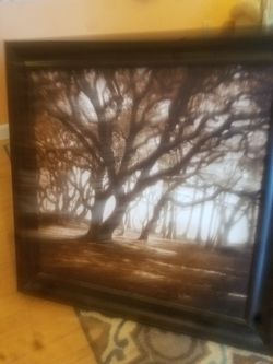 2 beautiful paintings