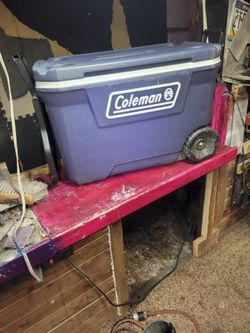 Coleman cooler