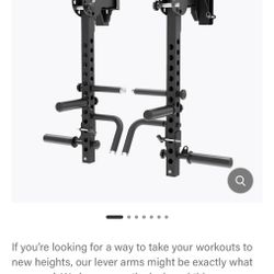 Major fitness lever Arms