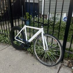 rear glossy 88 carbon