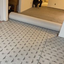Installation Of Carpets And Floors