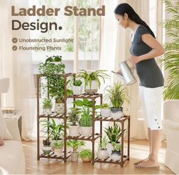 Plant stands I have 2 available price for both