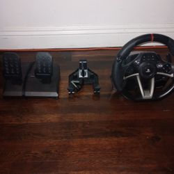 PS4 Racing Sim