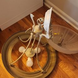 Chandelier Ceiling Light