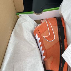 Nike Lobster SB - Brand New size 10.5 Men’s