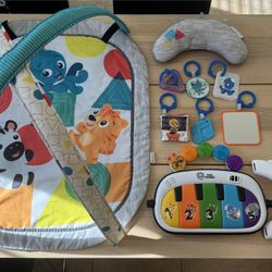 Baby Einstein Play Gym