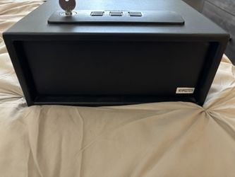 gun or personal safe
