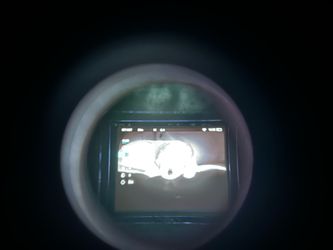 Thermal hunting scope