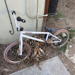Diamond back bike frame