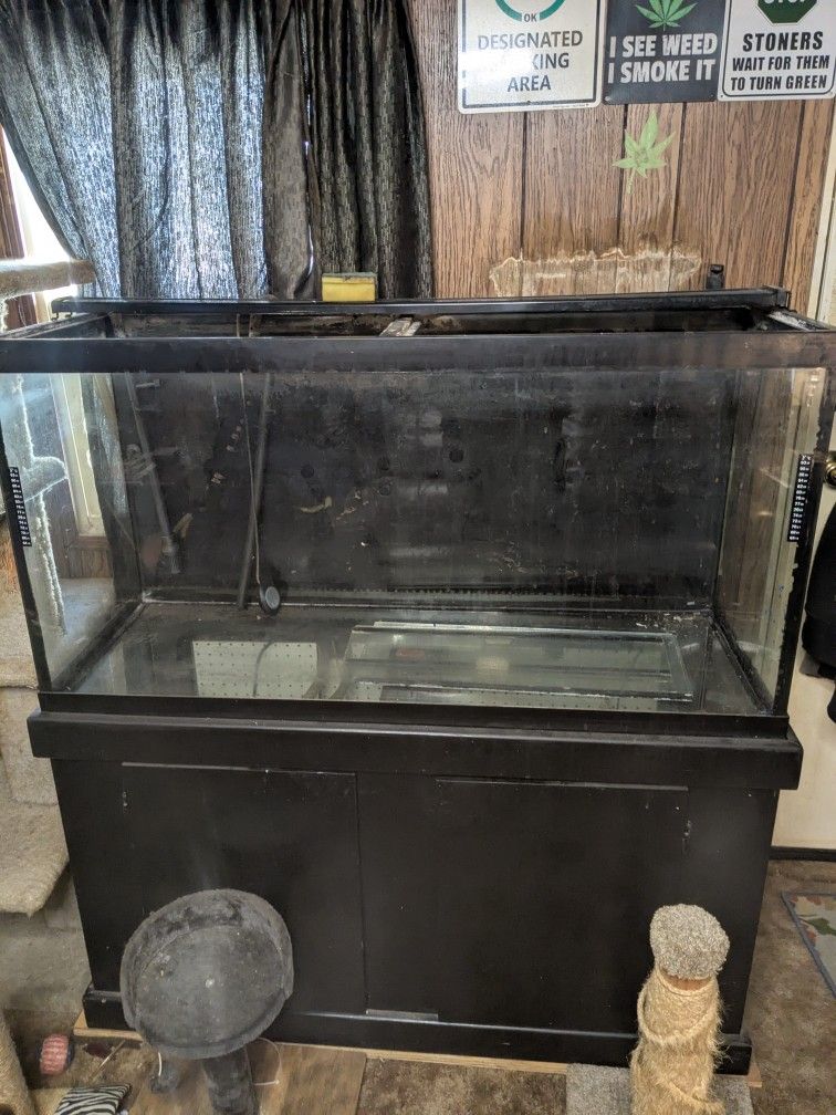 90 Gallon Fish Tank And Stand