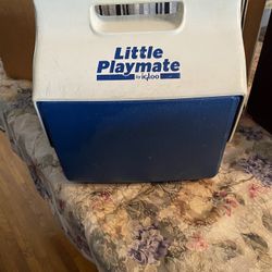 Vintage Igloo “Little Playmate”