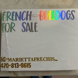 Dog Supply 