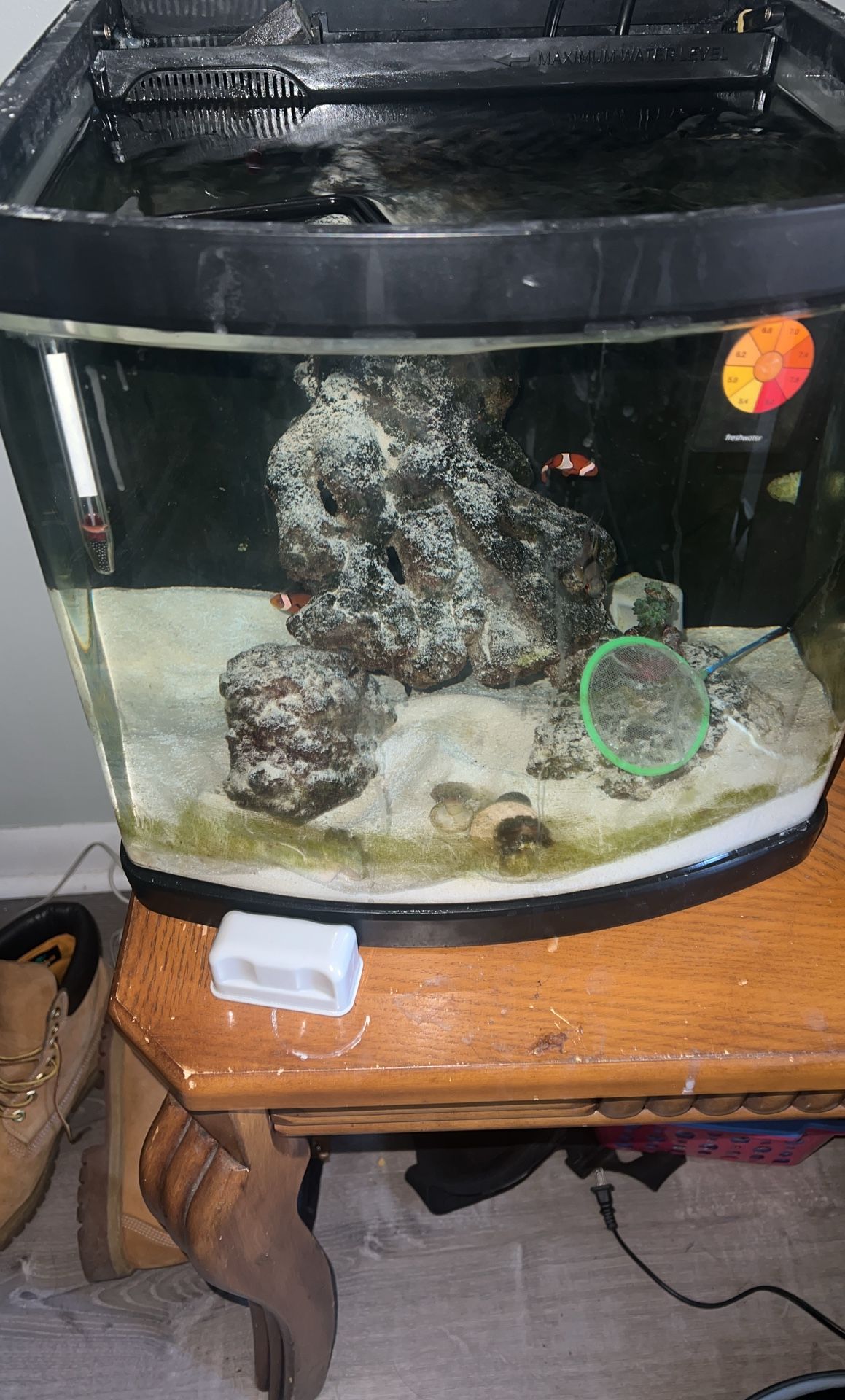 Jbj 12 Nano Cube