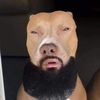 Paco