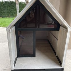 Dog house 