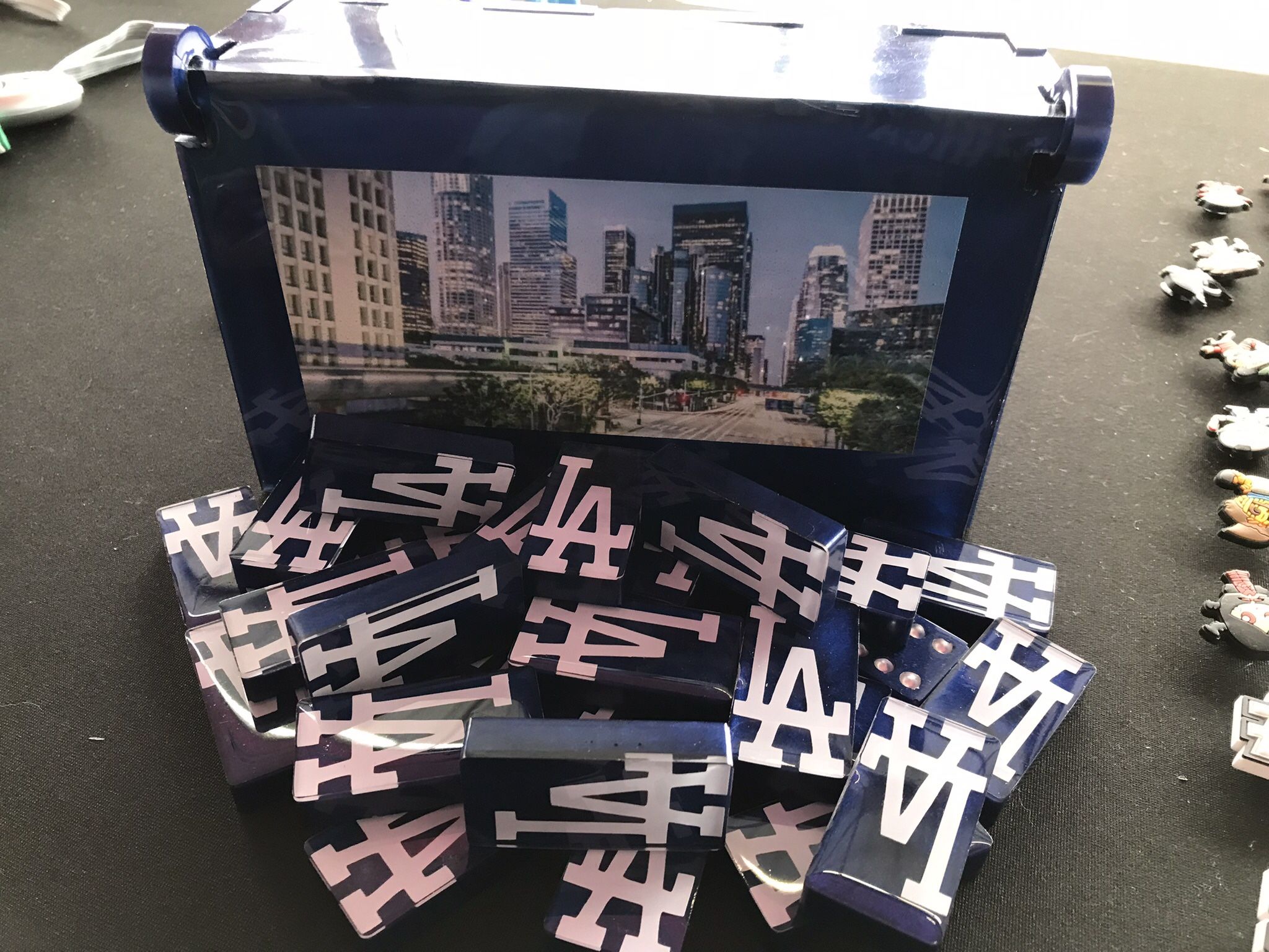 Custom dominoes with a domino custom case