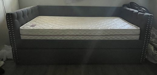 Day Bed w/trendle Pull Out 