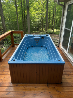 Royal Spa Swim Spa in good condition