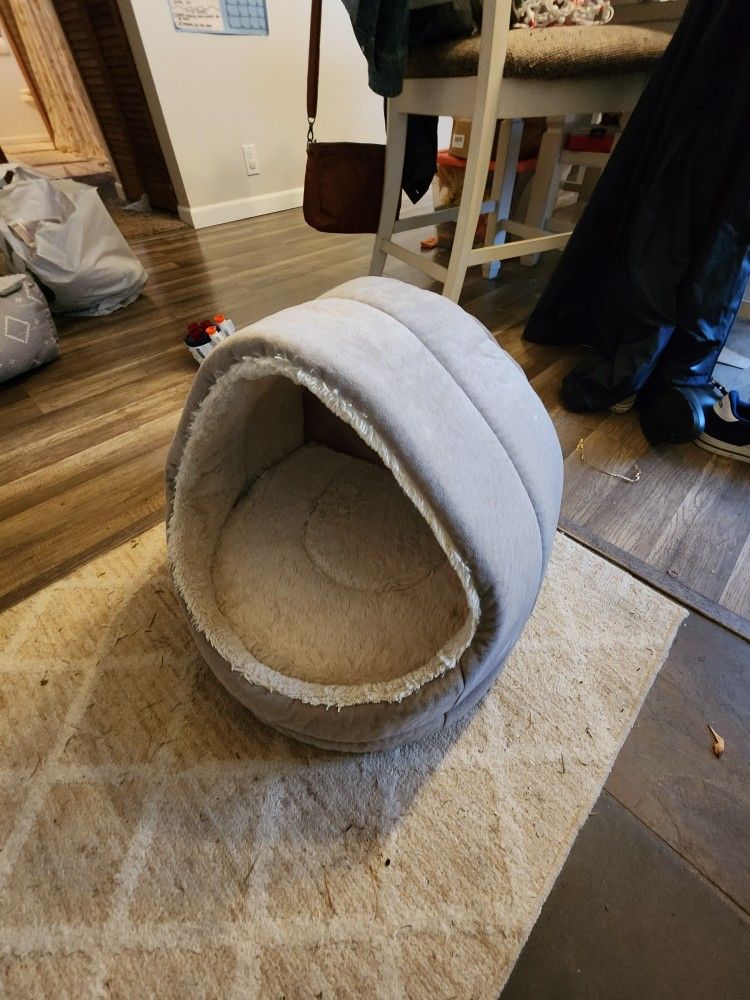 Cat Or Small Dog Cave