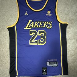 Lebron James LA Lakers NBA jersey. Size Large.