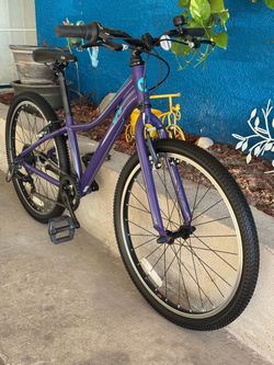 24” Liv Giant Bike