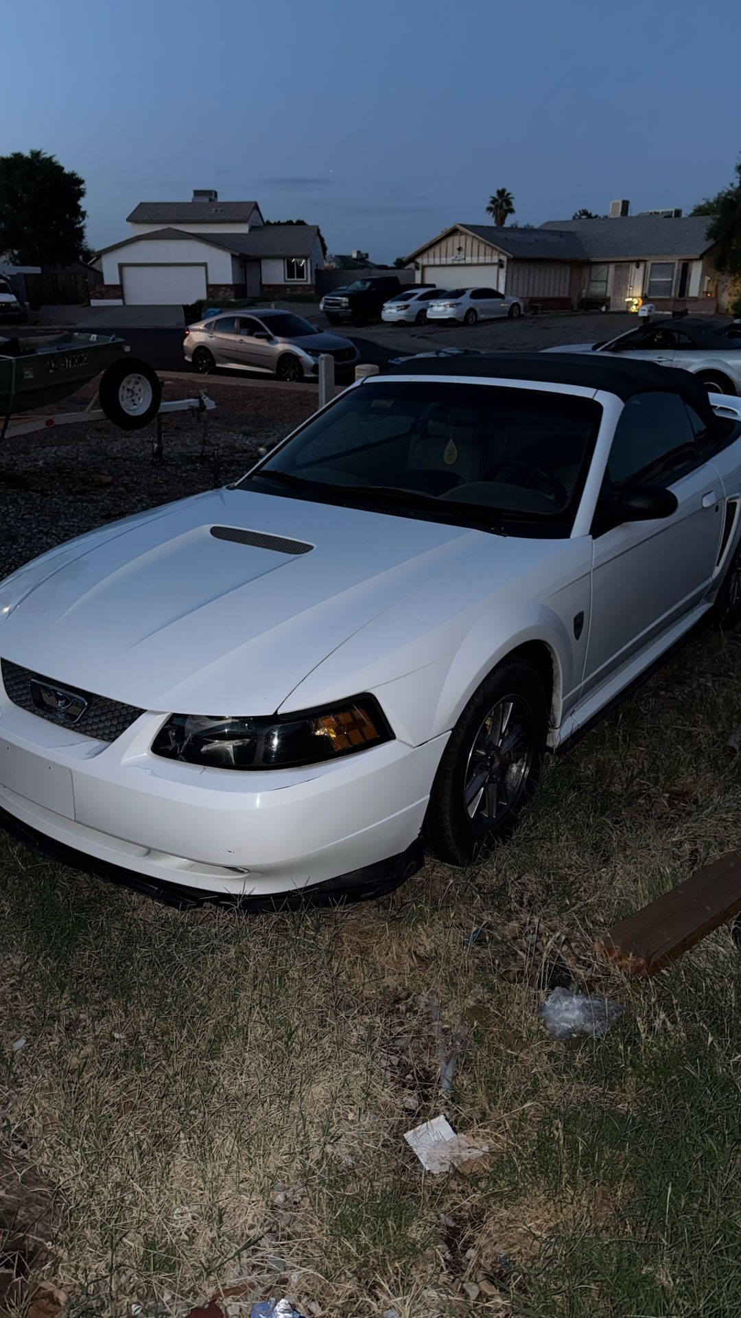 Mustang