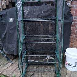 Small Plastic Greenhouse 