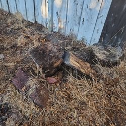 Free Fire Wood