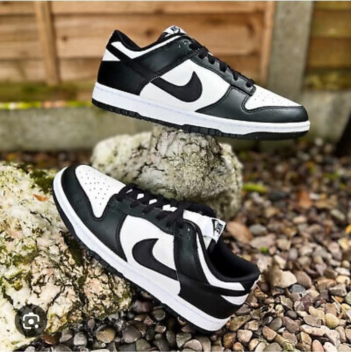 Panda Dunk πΌ