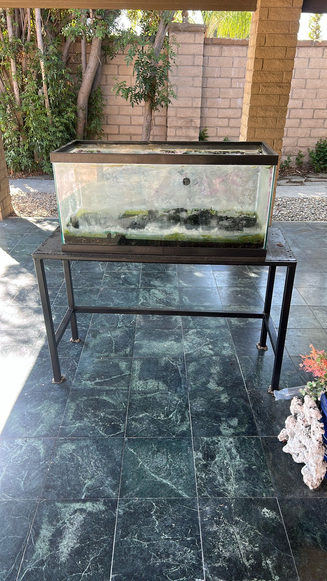 40 Gallon Fish Tank And Stand