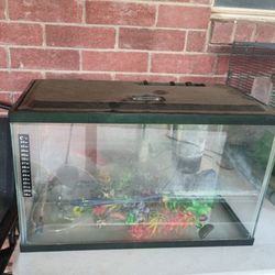 Fish Tank